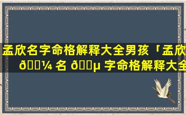 孟欣名字命格解释大全男孩「孟欣 🌼 名 🐵 字命格解释大全男孩女孩」